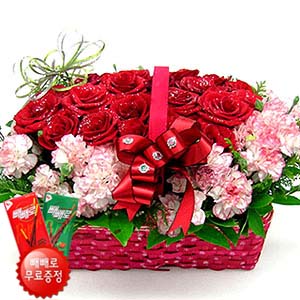 �󼼳��뺸��